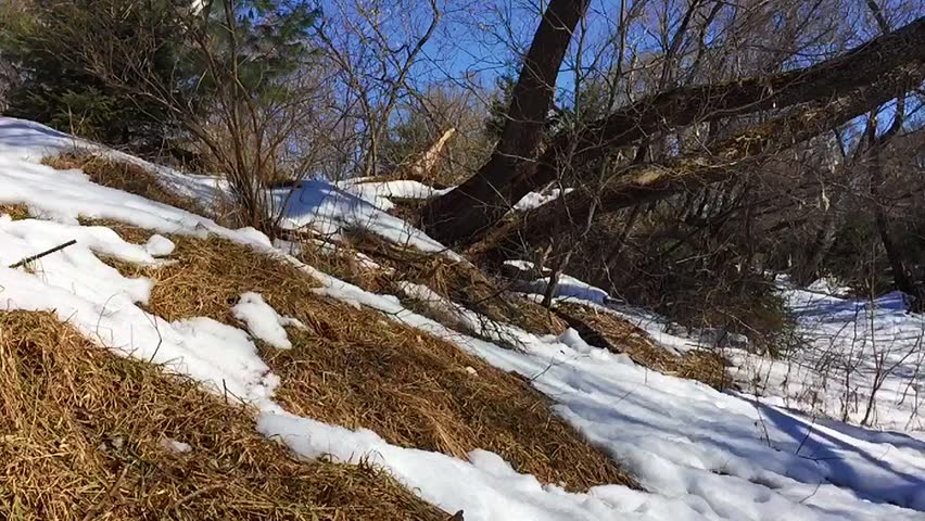 Man hiking up small hill