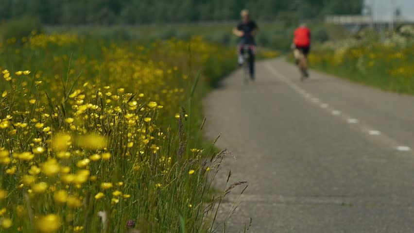 A road flanked by green grass and buttercups on a nice spring/summer day. A few road racers pass by.