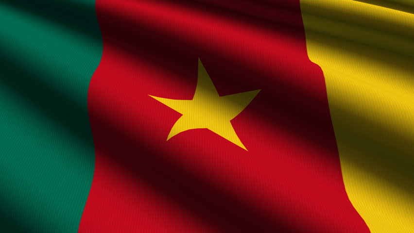 Cameroon Close up waving flag - HD loop 