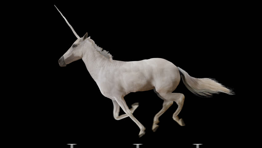 8,657 Unicorn Stock Video Footage - 4K and HD Video Clips | Shutterstock