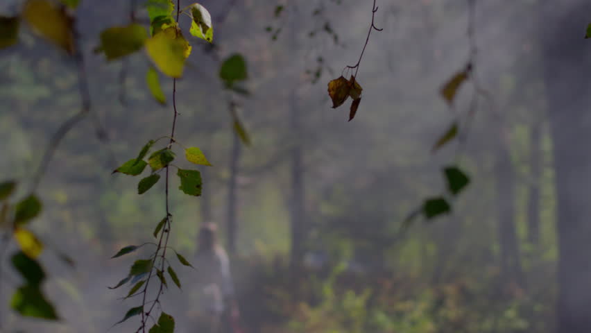 girl dancing in the morning mist forest