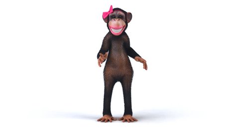 Fun monkey