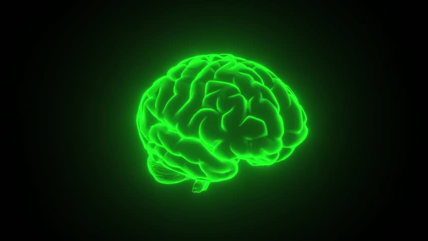 12 brains. Зеленый мозг. Неоновый мозг. Зеленые мозги. Светящийся мозг.