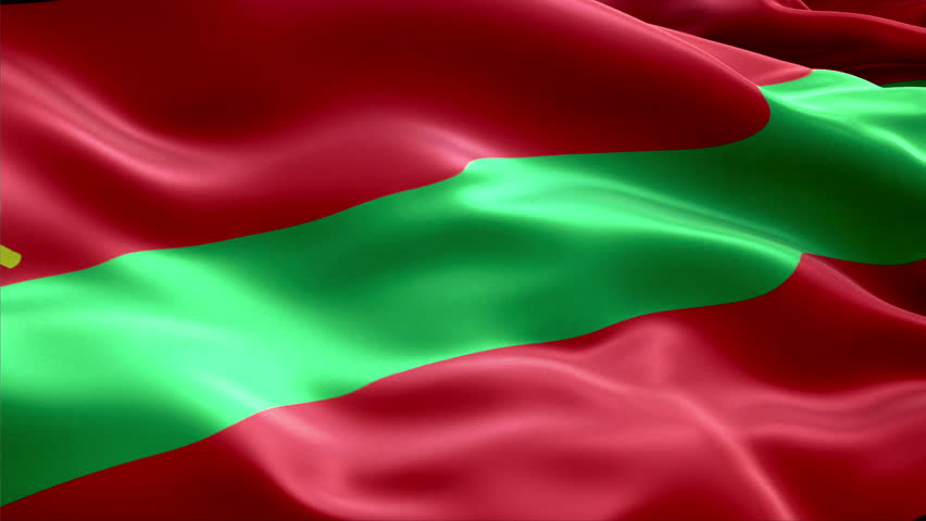 Download Flag Transnistria. National Flag of Stock Footage Video (100% Royalty-free) 9471977 | Shutterstock