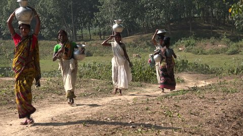 SRIMANGAL, BANGLADESH - 22 DECEMBER 2014: Unidentified women carry buckets of water, to be used for irrigation on the tea estates in Srimangal.