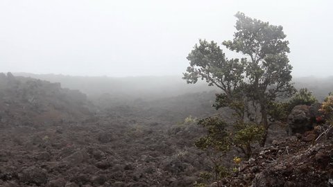 Desolate Lava Rock Landscape 