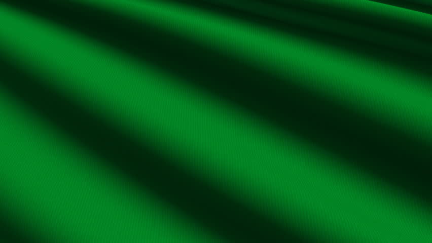 Lithuanian Close up waving flag - HD loop 