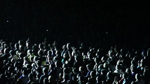 Cheering Crowd at Concert 