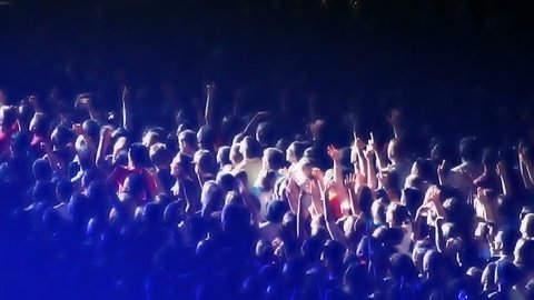 Cheering Crowd at Concert 