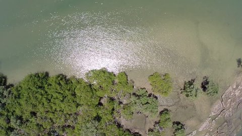 Aerial view of Santo Andre beach, just sand, water and mangroves, a little paradise, bahia, Brazil