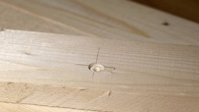 Carpenter screws nut into pine wood