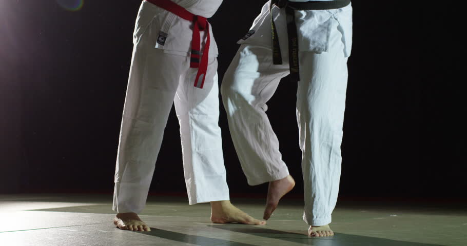 Two martial arts athletes during practice Royalty-Free Stock Footage #9506801