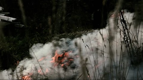 Fire. Burning grass, wood, peat, forest. The camera moves