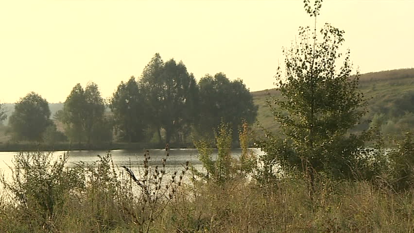 Lake Shore