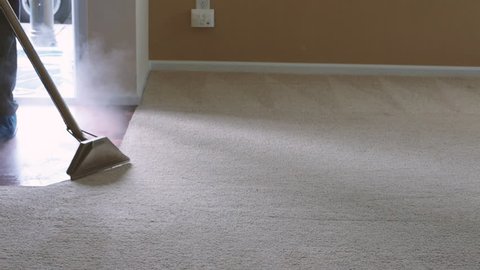 Steam Cleaning a Carpet