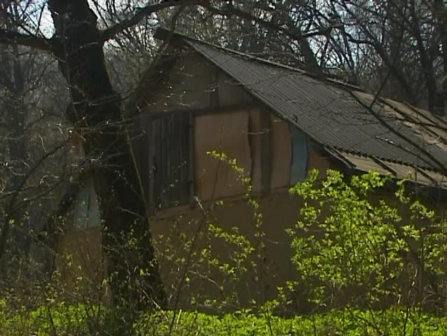 Old house in the woods