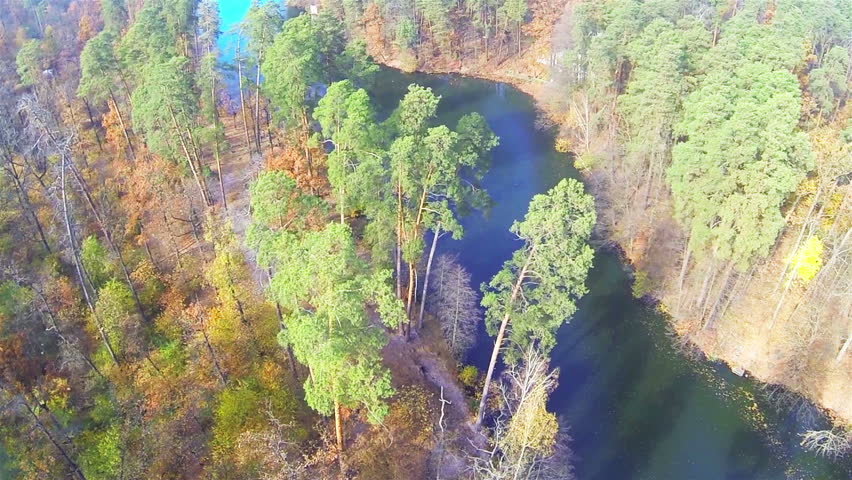 Up over  autumn wood with river  . Aerial top view with turn