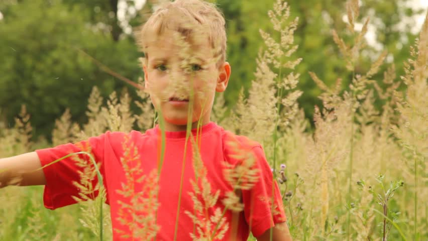 boy is touching the tops of different plants in the park sunny summer day
