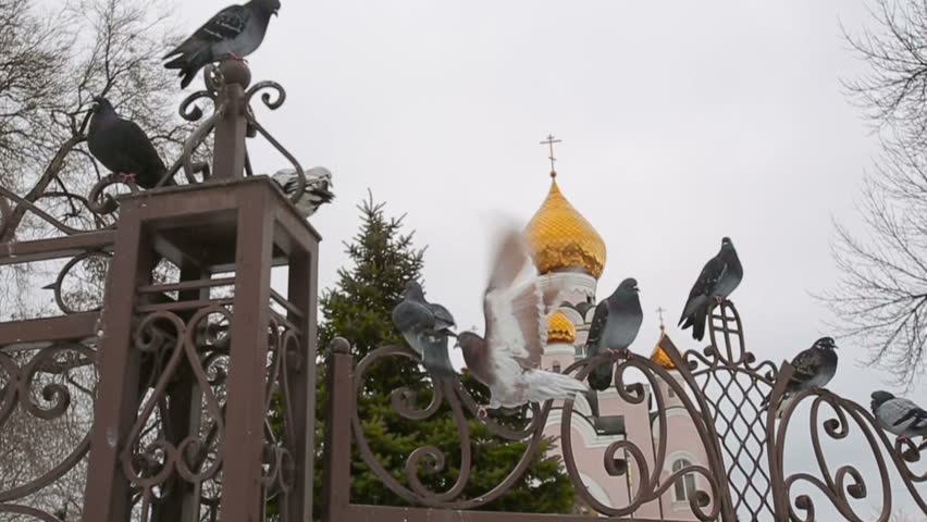Birds Flying Near the Church