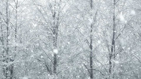Mega extra big global snowfall winter spring autumn infinity loop, large snowflakes tree forest
