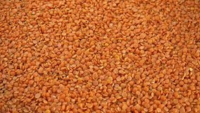 Portion of Red Lentils (seamless loopable)