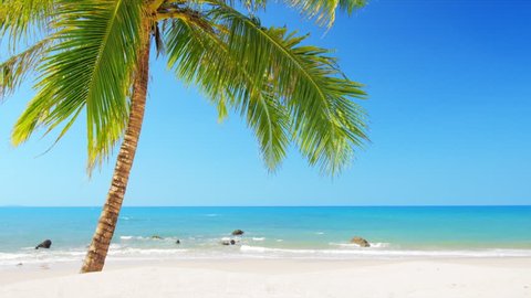 Idyllic paradise beach with white sand, blue sky, clean water and tropical coconut palm tree 