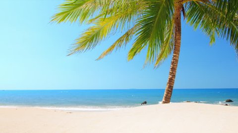 Beautiful tropical beach with palm tree 
