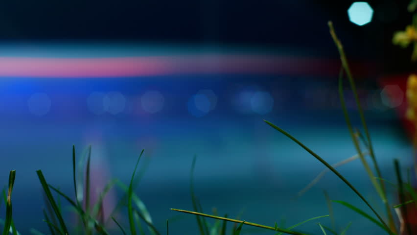 Out of focus traffic and focused grass.