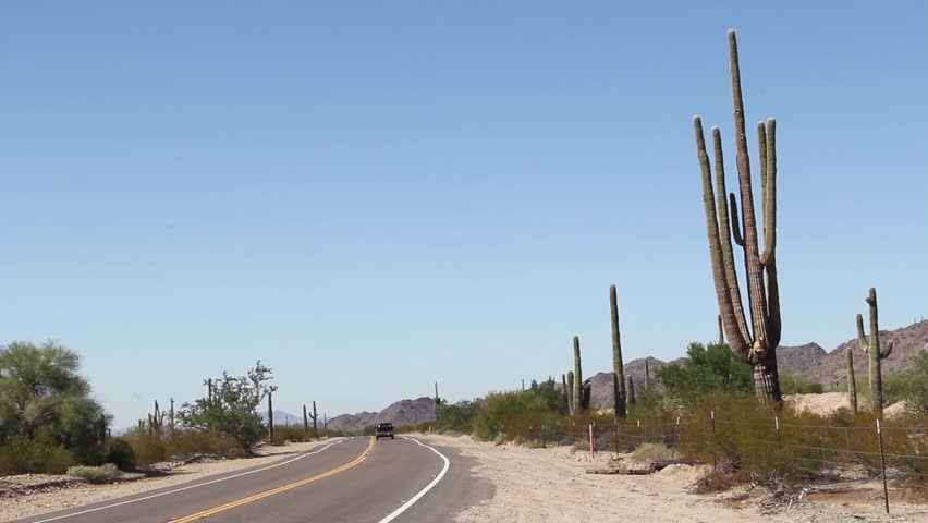 Saguaro Cactus In Sonoran Desert Stock Footage Video 100 Royalty Free 9554807 Shutterstock