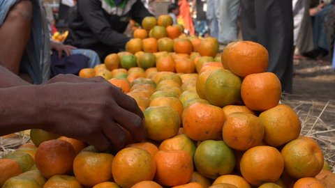 Oranges for sale at a large market in Kolkata, India. Stock Video