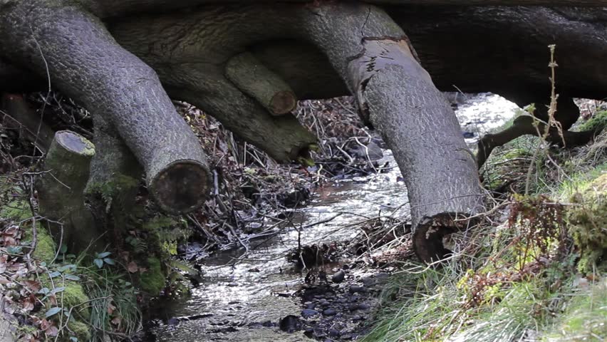 Fallen Tree Park Stream - Beautiful English Countryside Nature Backgrounds

The Great Outdoors Environment Beautiful View
Location: Trentham Staffordshire UK
Source: Canon 5D Mkiii
Date: 21 March 2015