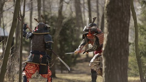 a battle between two samurai in the forest
