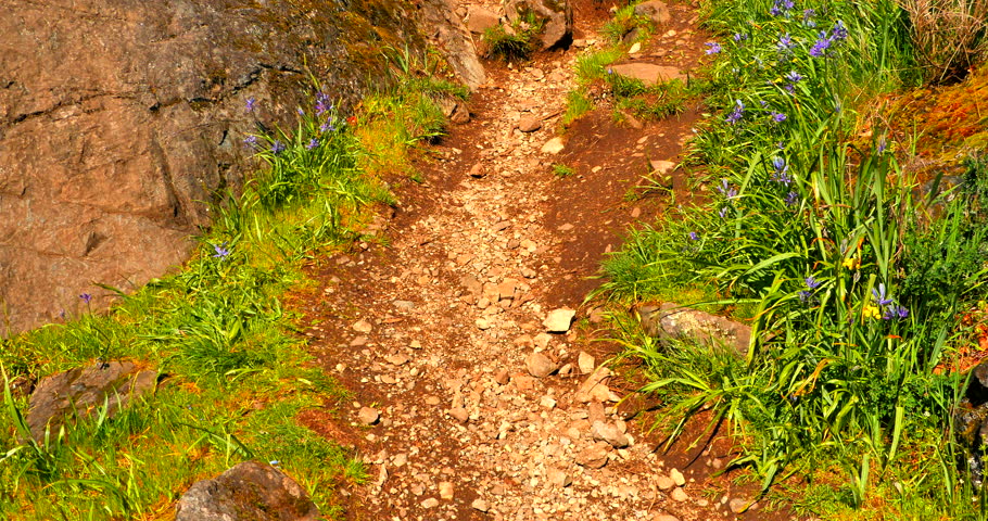 4K Woman Hikes up Rocky Hill Path in Spring Time