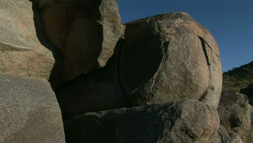 Cactus in Joshua Tree National Park