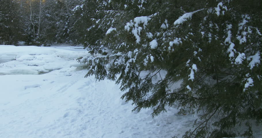 Small frozen pond in winter in Algonquin Provincial Park, Ontario, Canada
