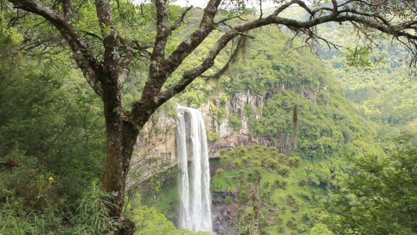 Far view of the waterfall at Canela ,framed by a beautiful tree.