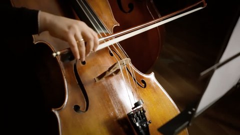 Close up of a musician playing a cello in an orchestra.
