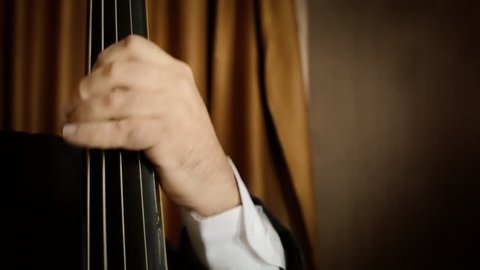 Close up of a musician playing a double bass in an orchestra (left hand on the strings).
