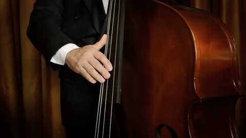 A musician playing a double bass in an orchestra. Middle shot.
