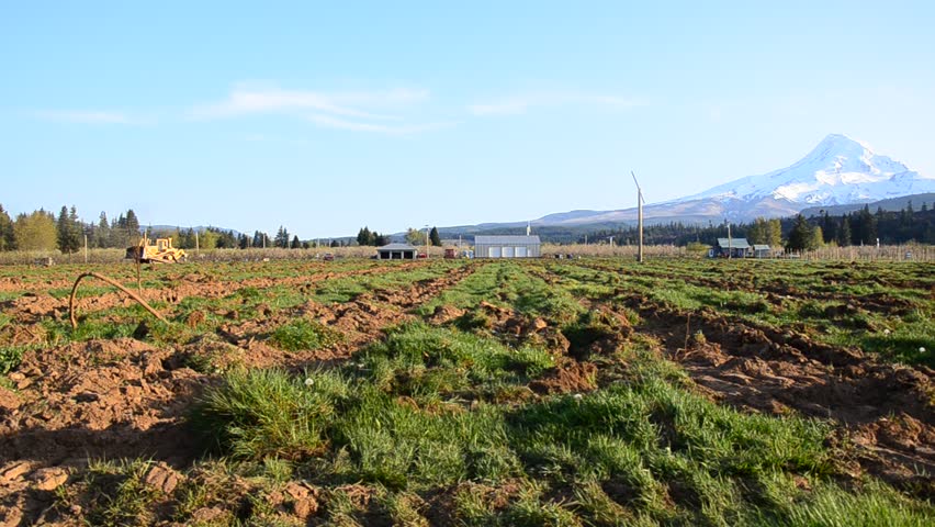 A modern tractor is working at apple farm near Parkdale, Oregon with Mount Hood in background