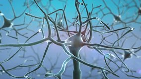 Neurons and neural system, Active nerve cell in human neural system, Neuron Impulses, Neuron cells, 3d rendered video of a neuron cell network flight through