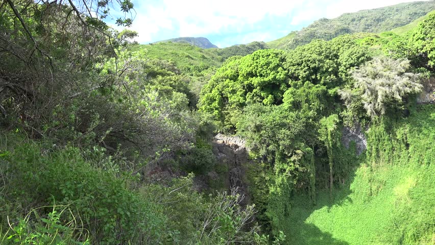 Hawaii Maui Rainforest Haleakala National Park