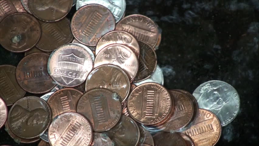 Pile of coins in Chicago Botanic Garden green house