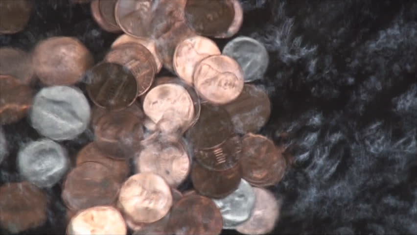 Pile of coins in Chicago Botanic Garden green house