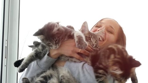 Beautiful smiles brunette girl holding cute kittens