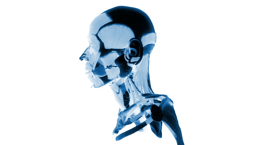 Human x-ray head rotating, medical background