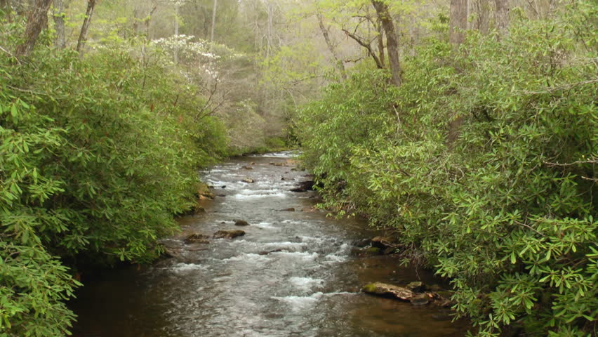 A rocky river in the Appalachian mountains in the Pisgah National Forest with spring time dogwood tree blooms along the river bank