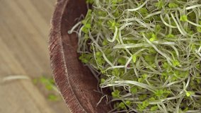 Portion of Broccoli Sprouts (seamless loopable 4K footage)