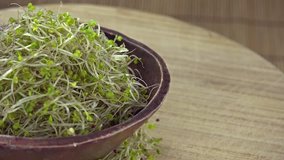 Rotating Broccoli Sprouts (not seamless loopable 4K footage)