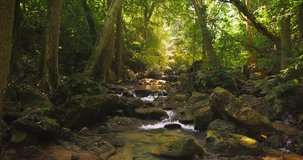 Deep tropical forest and small creek running between stones tranquil and peaceful nature background. Tracking slider video shot of relaxing natural landscape in 4K quality 